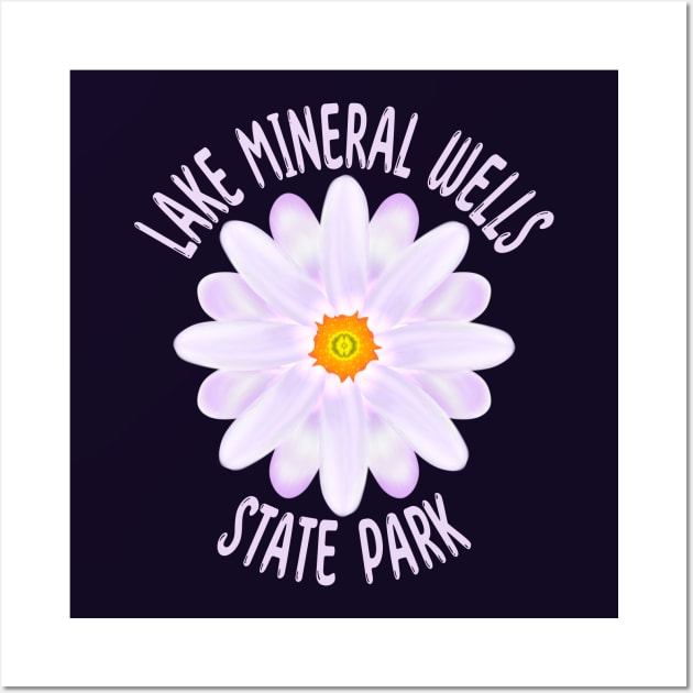 Lake Mineral Wells State Park Wall Art by MoMido